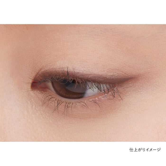 Kanebo SG3 Shadow Gel Eyeliner - Long Lasting Makeup by Kanebo