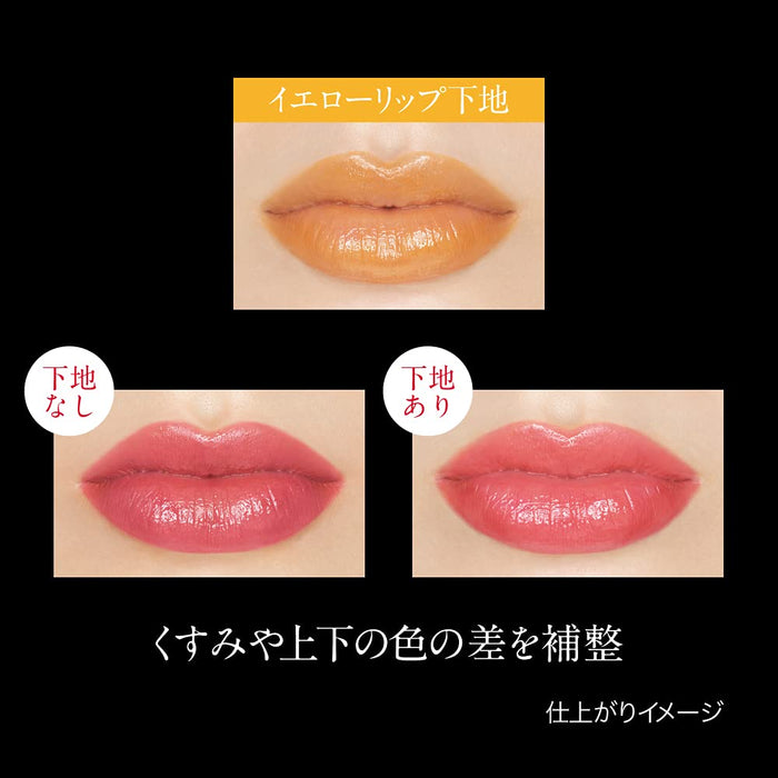 Kate Control Base Lip Cream EX-1 Yellow 3.2g - Single Pack Lip Color