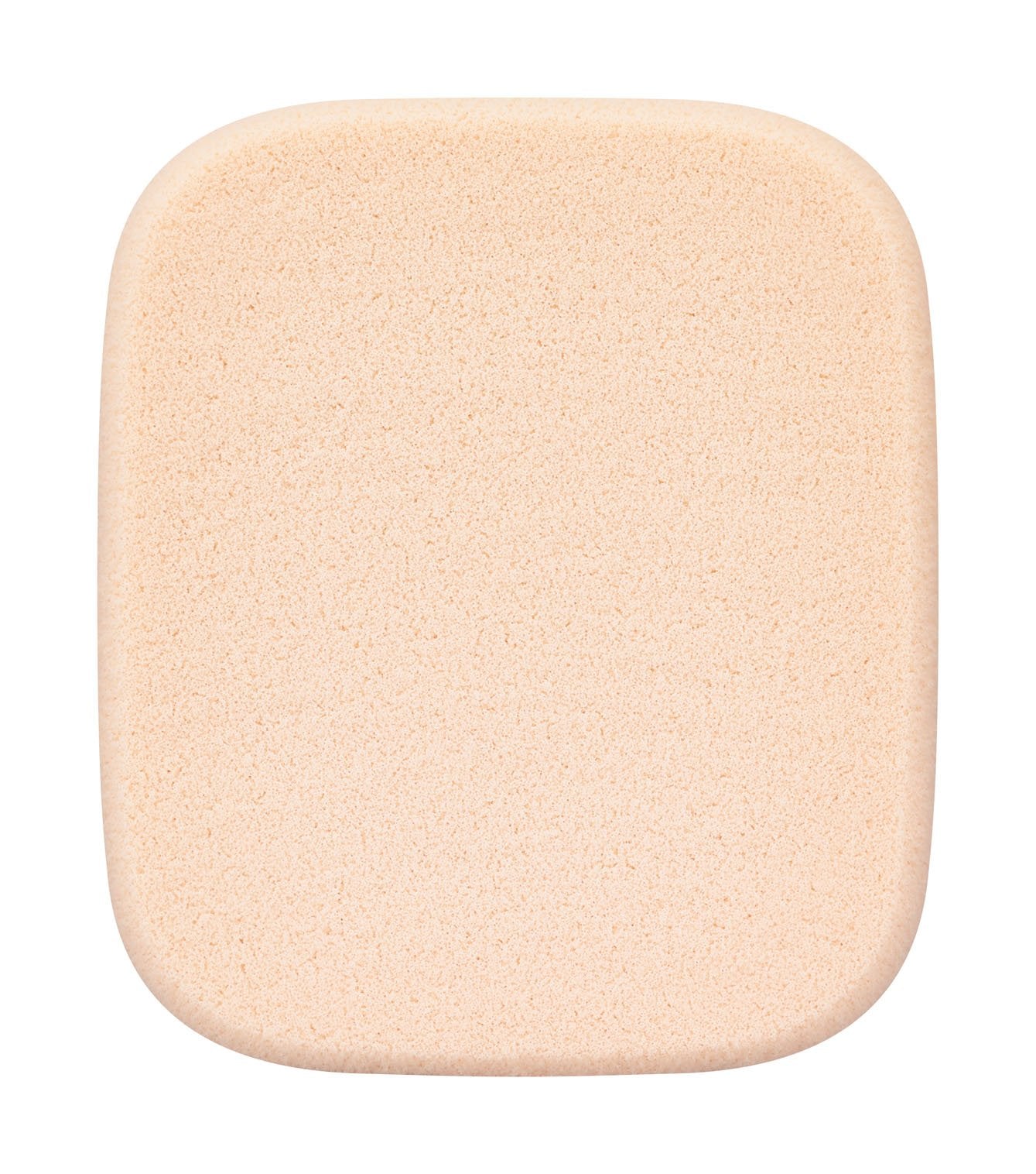 Kate Standard Skin Powder Foundation Secret Skin Maker Zero 02