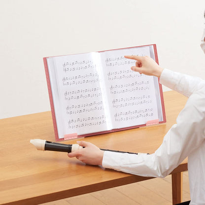 Kingjim A4 Clear File Ziritz Side 20 Pockets Black 8837 Japan