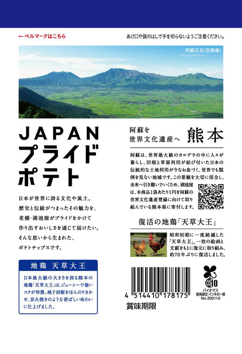 湖池屋日本炭火烤鸡 55 克 X 12 袋 - 熊本本地骄傲