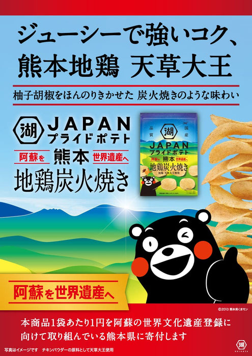 湖池屋日本炭火烤鸡 55 克 X 12 袋 - 熊本本地骄傲