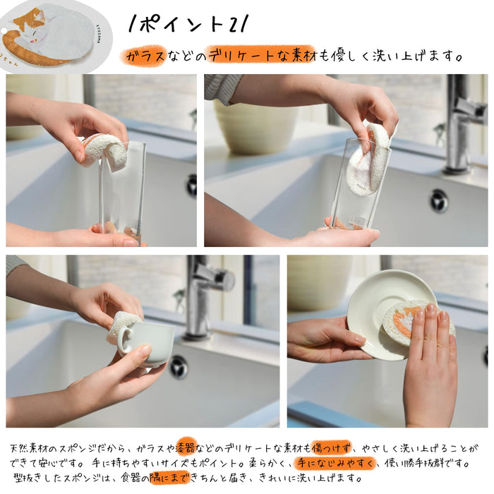 Kyosama 6 Pcs Biodegradable Dish Washing Kitchen Sponge - Japan Daily Necessities