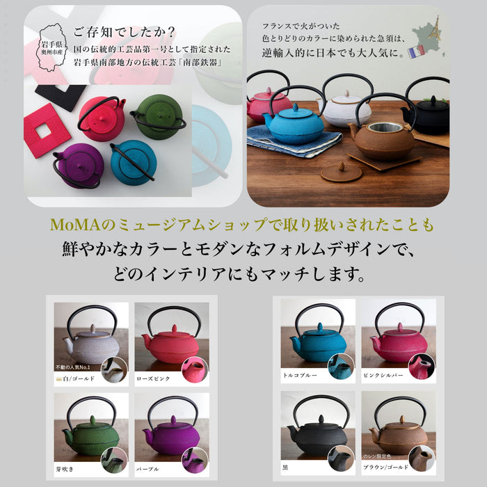 Ren Of Nambu 鐵藝茶壺（Arare 圓形 0.6L 黑色）日本琺瑯茶壺帶過濾器傳統工藝品紀念品