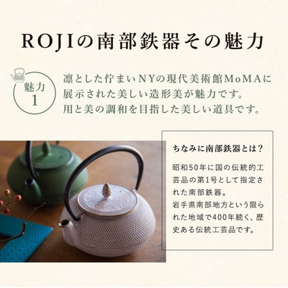 Ren Of Nambu Ironware Teapot (Arare Round 0.6L Black) Japan Enameled Tea Pot W/ Strainer Traditional Crafts Souvenir