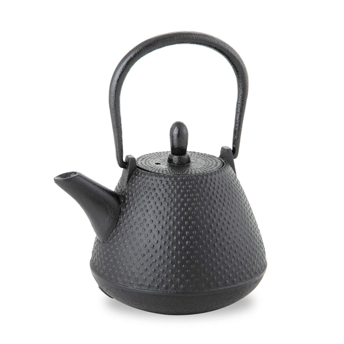 Nambu Tekki Teapot 0.4L - Black Black Made In Japan Enameled Inside Tea Strainer Traditional Crafts Japanese Tea Pot Souvenir - Ren Of Japan