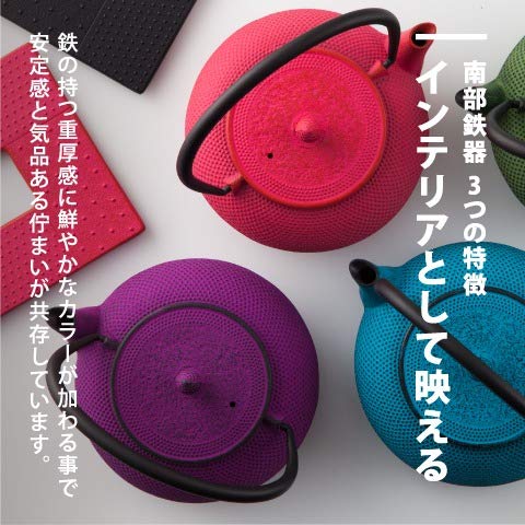 Nambu Tekki 茶壶 0.4L - 黑色 日本制造 珐琅内茶滤 传统工艺品 日本茶壶 纪念品 - Ren Of Japan