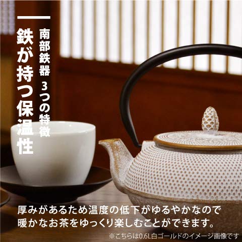Ren Of Nambu Tekki 茶壶 0.4L 日本 - Arare Dome 紫色 - 附有搪瓷茶滤
