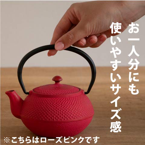 日本南部铁器 Ren 铁瓶茶壶 Arale 圆形带茶滤珐琅饰面 Arare 小号/无 Ren 原创茶