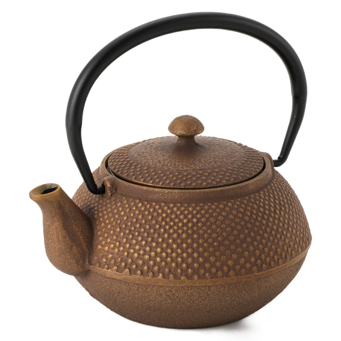 Ren Of 日本南部鐵器鐵瓶茶壺 Arale 圓形帶濾茶器琺瑯飾面 Arare 小號/無 Ren 原茶