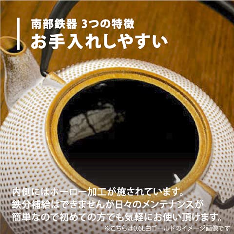 Ren Of Japan Nanbu Tekki Iron Bottle Teapot Arale Round Shape W/Tea Strainer Enamel Finish Arare Small/No Ren Original Tea