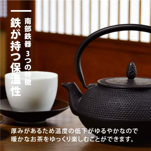 https://japanwithlovestore.com/cdn/shop/products/Logia-Associates-Nanbu-Tekki-Iron-Bottle-Tea-Pot-Arale-Made-In-Japan-Round-Shape-With-Tea-Strainer-Inside-Enamel-Finish-Iron-Bottle-Teapot-Color-Pot-Arare-SmallNo-Ren-Original-Tea-Jap_fdc2a169-b406-40c8-ab21-b3f7f88ccfe4_480x480.jpg?v=1691760896
