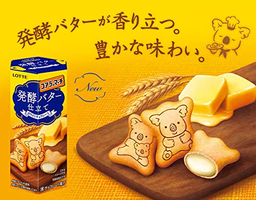 Lotte Koala March Japan (Fermented Butter) 48G X 10Pcs