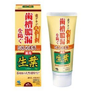Fresh Leaves Medicated Toothpaste 100G X 5 Japan