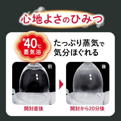 Megurism Megrhythm Steam Hot Eye Mask 12Pcs Japan For Men