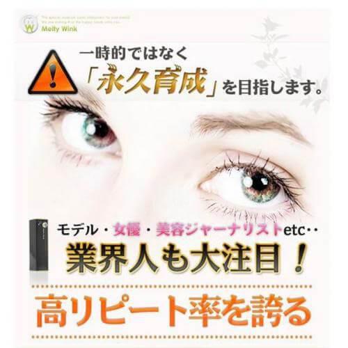 Melty Wink Double Eyelid Essence 17ml Japan With Love