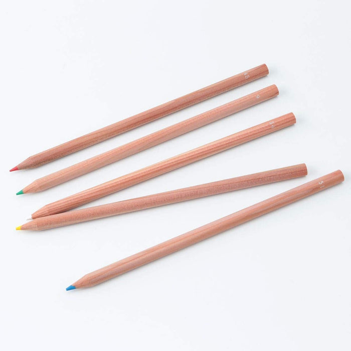 Mujirushi Ryohin Colored Pencils 60 Colors Paper Tube Case - Japan