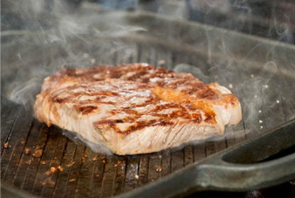 And Source Oigen Nambu Tekki Grill Pan Plate Iron Ih Compatible Japan Ca31S