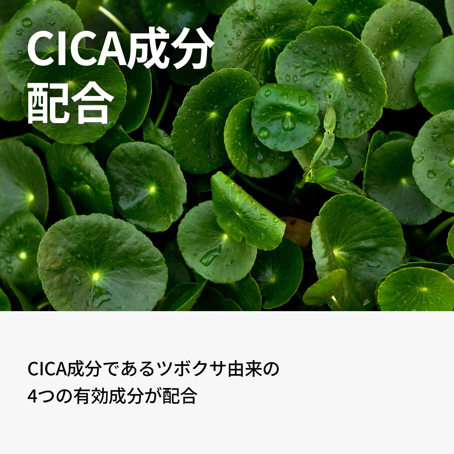 One Thing Centella Serum 80Ml | Cica Moisturizing Moisture Vegan Skin Care Korean Cosmetics Japan