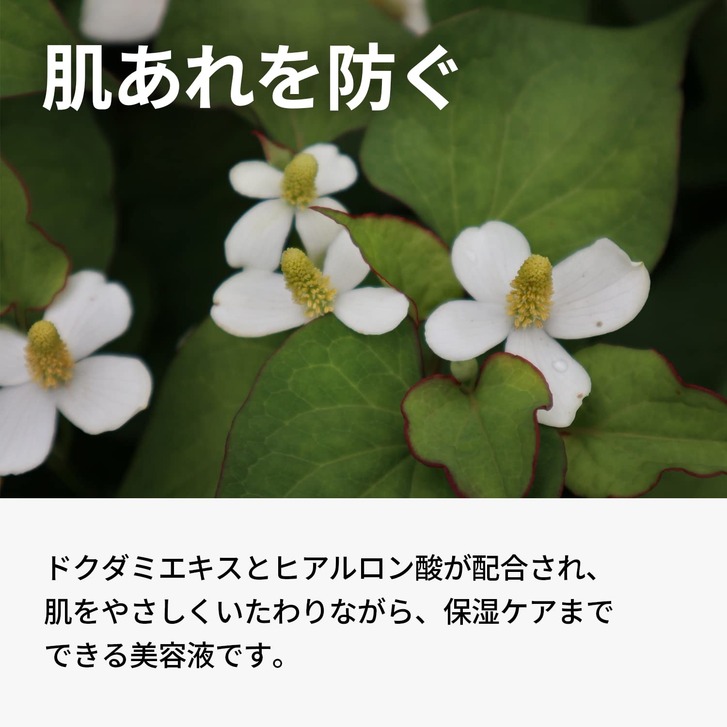 One Thing Dokudami Serum 80Ml | Vegan Korean Cosmetics For Moisturizing Fluctuous Skin | Japan