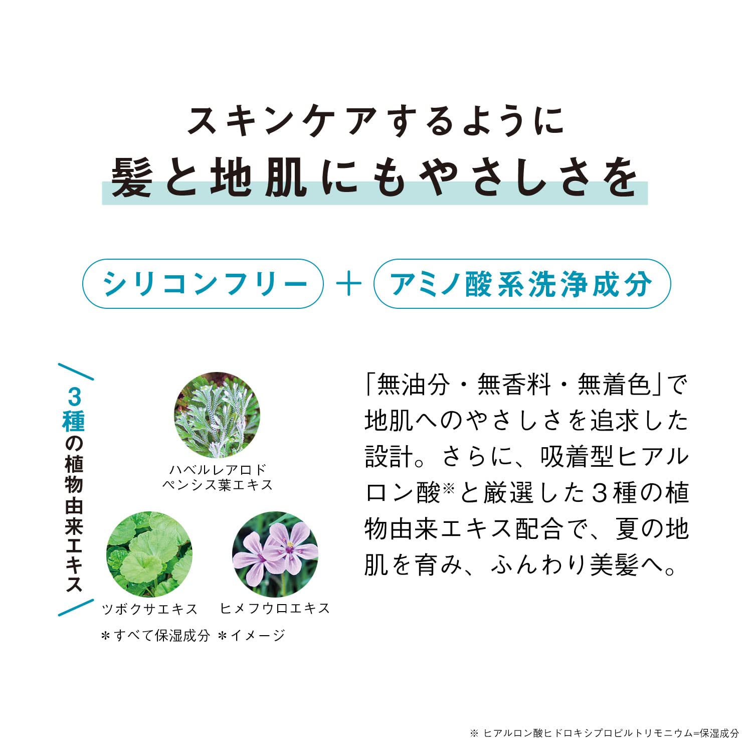 Orbis Purifying 300ml Hair Cleansing Shampoo