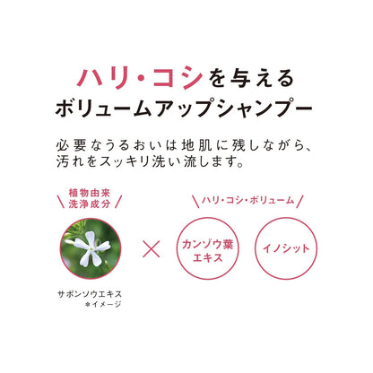 Orbis Quasi-Drug Scalp Refining Shampoo 250Ml Refill