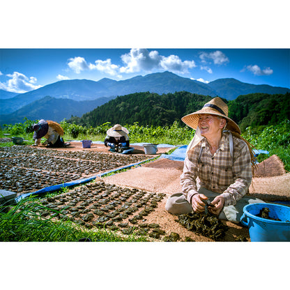 Otoyo Town Goishi Tea Domestic 20g - Organic Herbal Tea - Tea Made In Japan