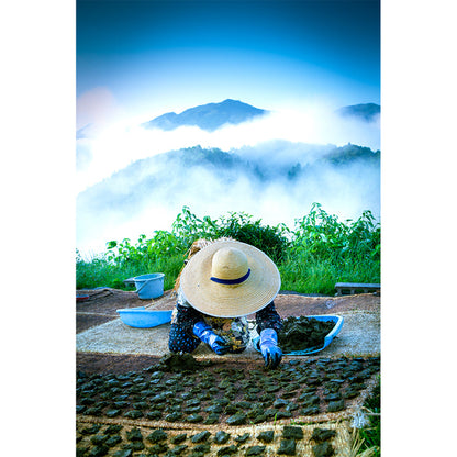 Otoyo Town Goishi Tea Domestic 20g - Organic Herbal Tea - Tea Made In Japan