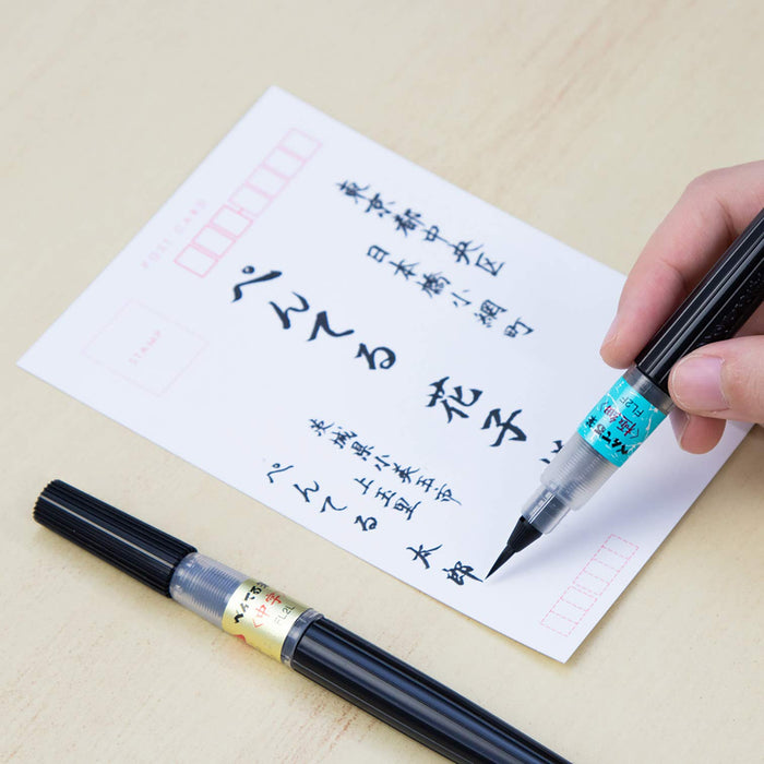 Pentel Brush Pen Xfl2L Black Medium Point - Made In Japan