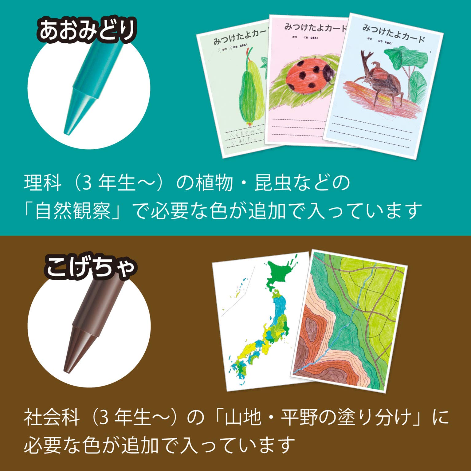 Pentel Japan Elementary School Colored Pencils 12+3 Colors Gcg1-12P3