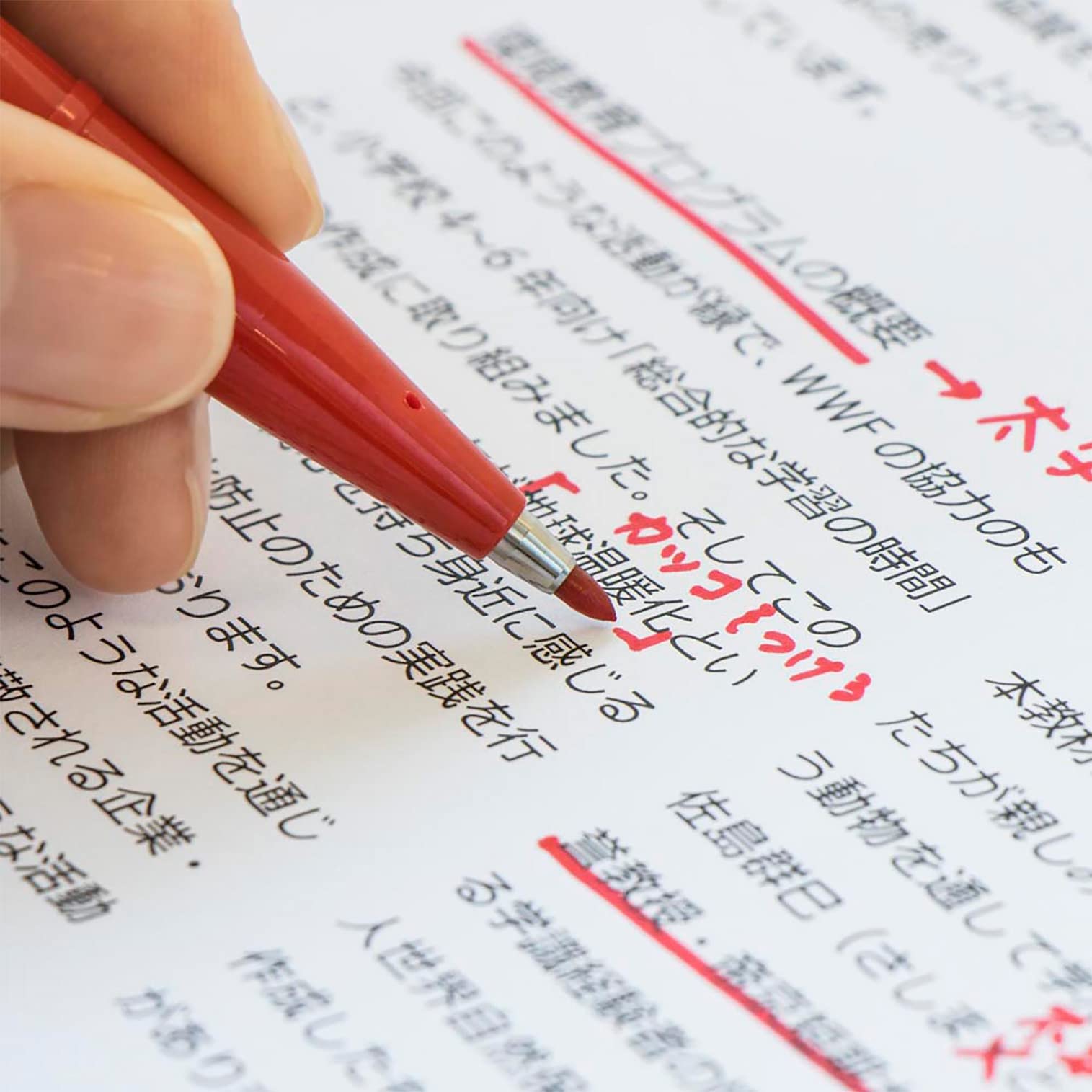 Pentel Felt-Tip Pen S520-8 8 Color Set Made In Japan