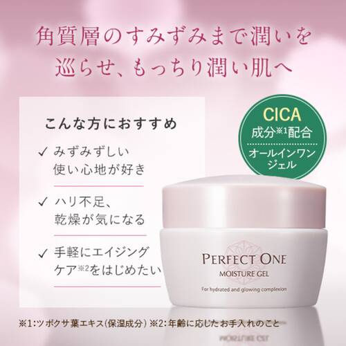 perfect one  moisture gel 2個 Super Moisture Gel ❘ PERFECT ONE – Perfectone-store