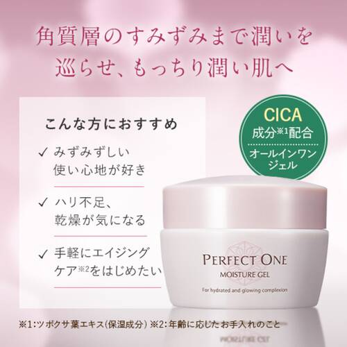 Perfect One Moisture Gel C Japan With Love 1