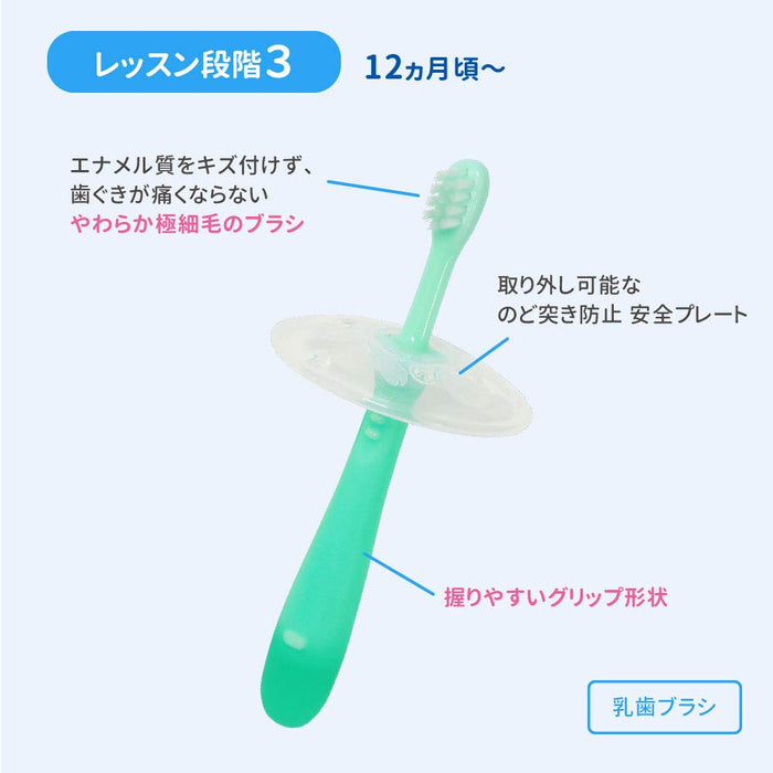 Pigeon Japan Toothbrush First Set 4-5 Months Multi Color 3Pc Assorted