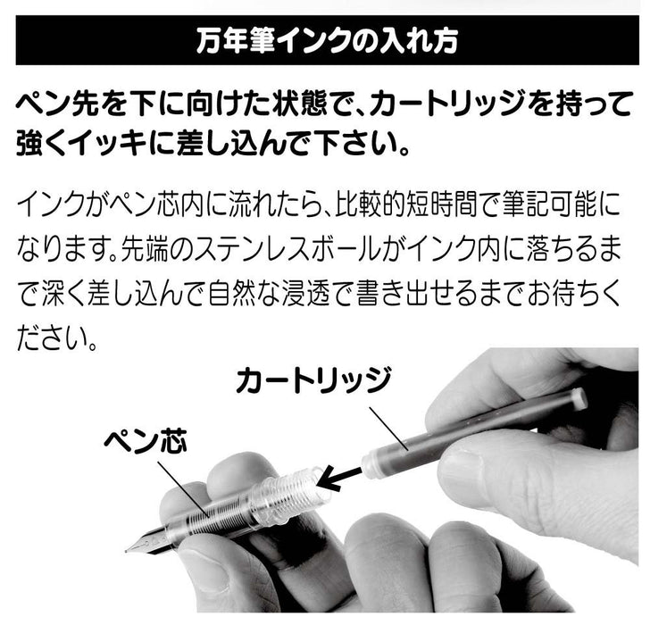 白金钢笔 Plaisir 日本细尖冰白色 Pgb-1000B#3-2