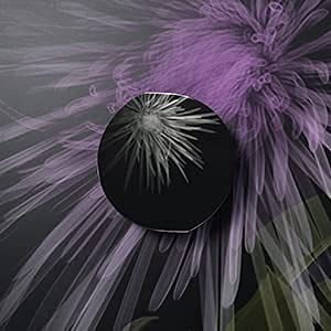 Pola B.a Finishing Powder N Long Lasting Glow & Moisturizing Ingredients 16G - Japanese Face Powder