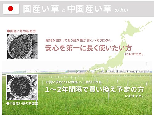 Ikehiko Corporation 日本 Noah Easy 地墊和枕頭套裝棕色 (#7530390) 90X200Cm 墊子和 40X20Cm 枕頭