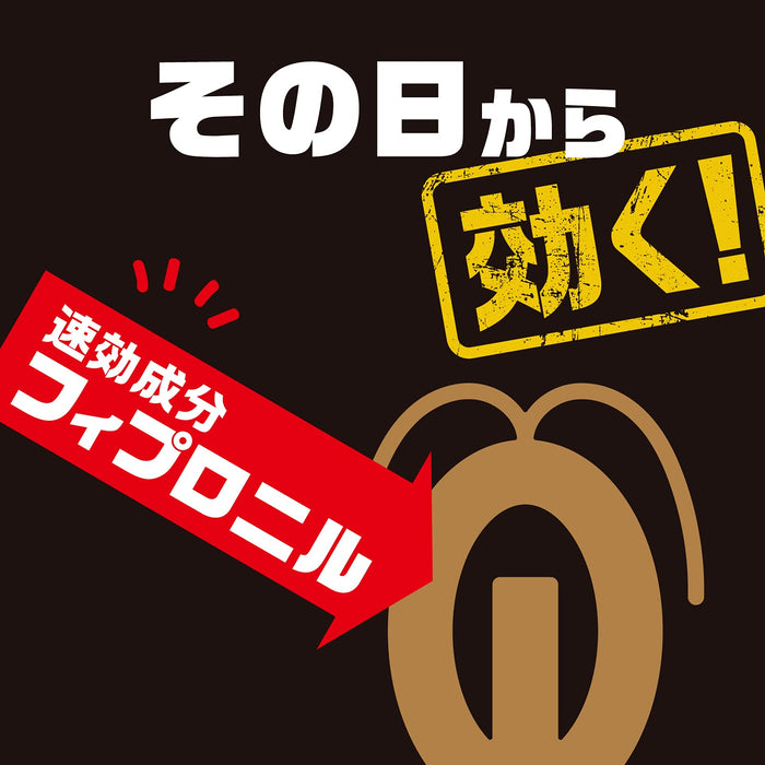 Black Cap 日本蟑螂驅除劑 12 片 醫藥管制