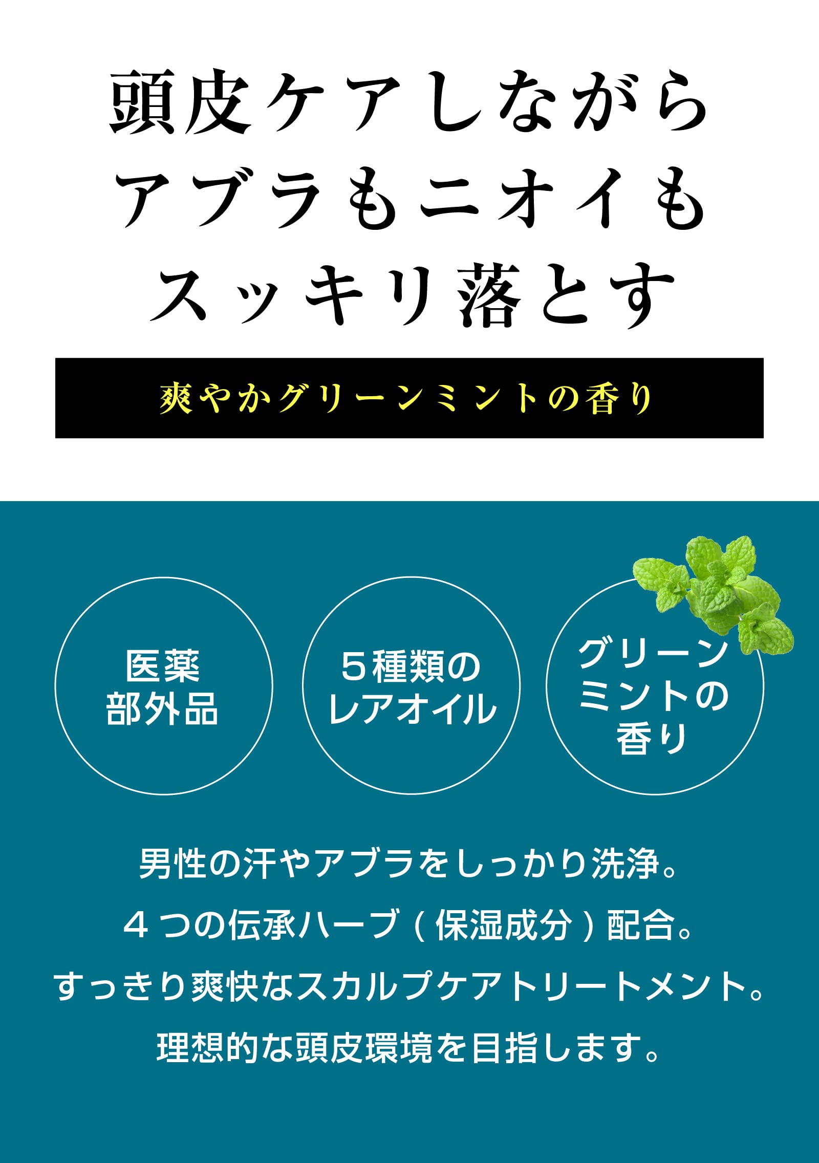 Maro Deo Scalp Treatment Men'S Medicated Dandruff Itch Odor Prevention Japan 480Ml