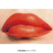 Rimmel Marshmallow Look Lipstick 036 Maple Brick Japan With Love 2