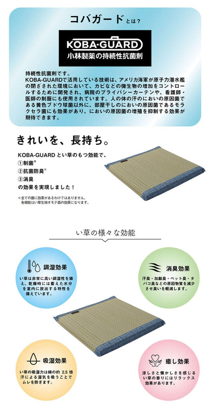 Ikehiko Kobayashi'S Rush Zabuton Pharmaceutical Clear Blue From Japan