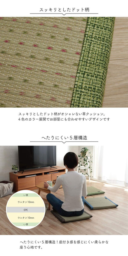 Ikehiko Kobayashi'S Rush Zabuton Pharmaceutical Clear Blue From Japan