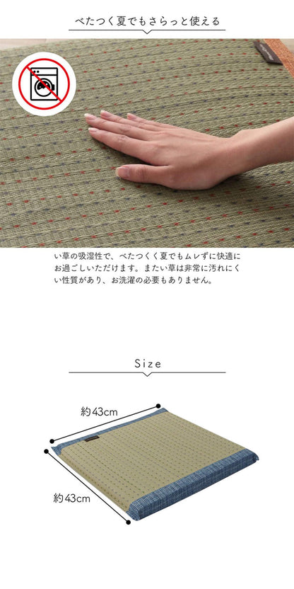 Ikehiko Kobayashi'S Rush Zabuton Pharmaceutical Clear Blue From Japan