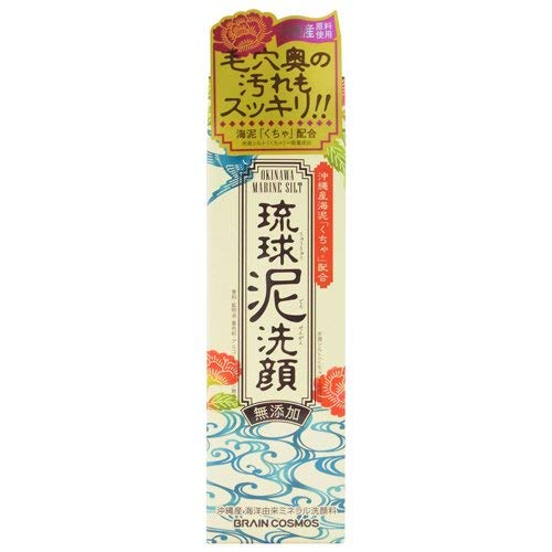 Rest Ryukyu Mud Face Wash 100G From Japan