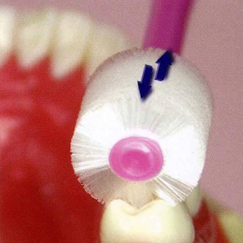Stb Higuchi - 婴儿360度圆柱牙刷