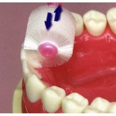 Stb Higuchi - Cepillo de dientes cilíndrico de 360 grados para bebés