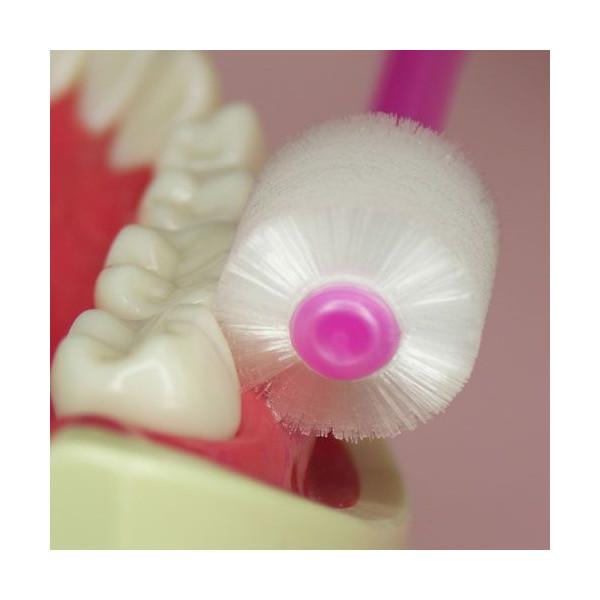 Stb Higuchi - Cepillo de dientes cilíndrico 360do para niños