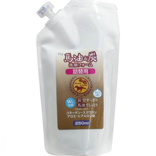 Sth Es Thi Hits Horse Oil And Coal Cleansing Foam Refill 250ml Japan With Love