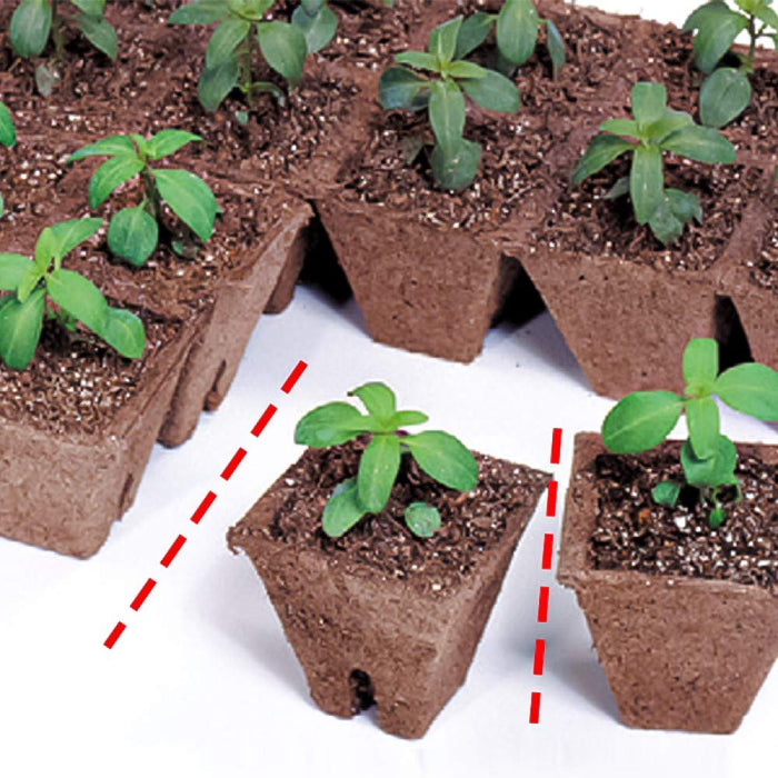 坂田种子生态盆栽 Jiffy Strip 方形 5 厘米 12 件 5 件 植物原样家庭花园日本