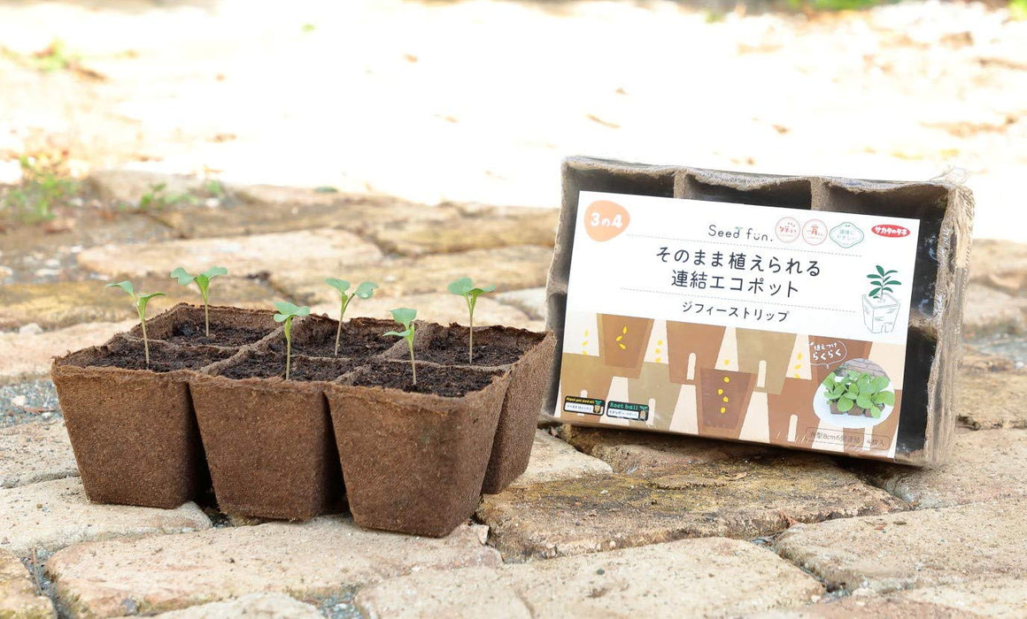 坂田種子生態盆栽植物原樣 Jiffy 條 8 厘米 6/4 件家庭花園園藝用品日本